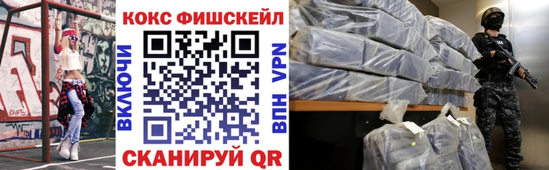 COCAIN Fish Scale  Купить  Кудымкар 